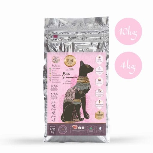 KA feed for baby cats and mommies