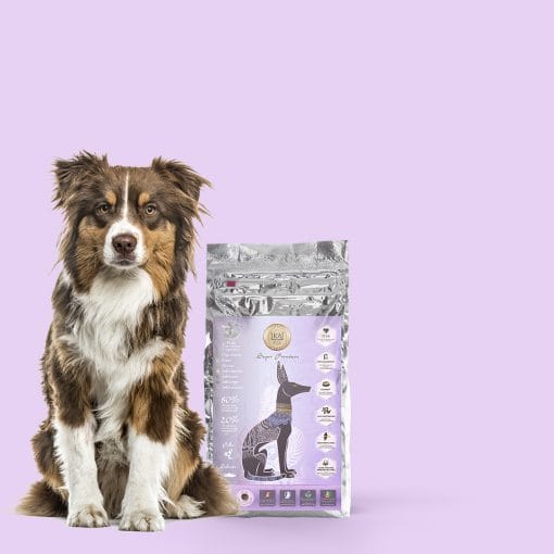 4 kg pienso para perros KA Sensitive by Feral súper nutritivo digestiones sensibles