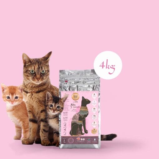 pienso 4 kg KA Kitten Mamás y Bebés súper nutritivo