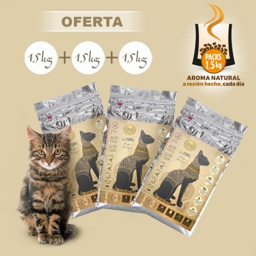 15% DTO / Pack Excellence Gatos 3x1,5 kg / Croqueta MINI