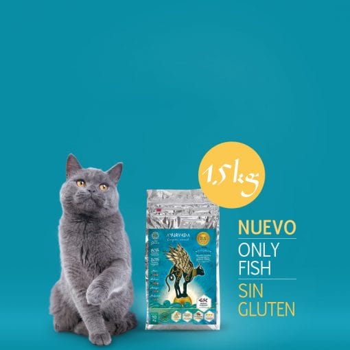 KA AYURVEDA Only Fish Gatos Sin Gluten - 1,5 kg