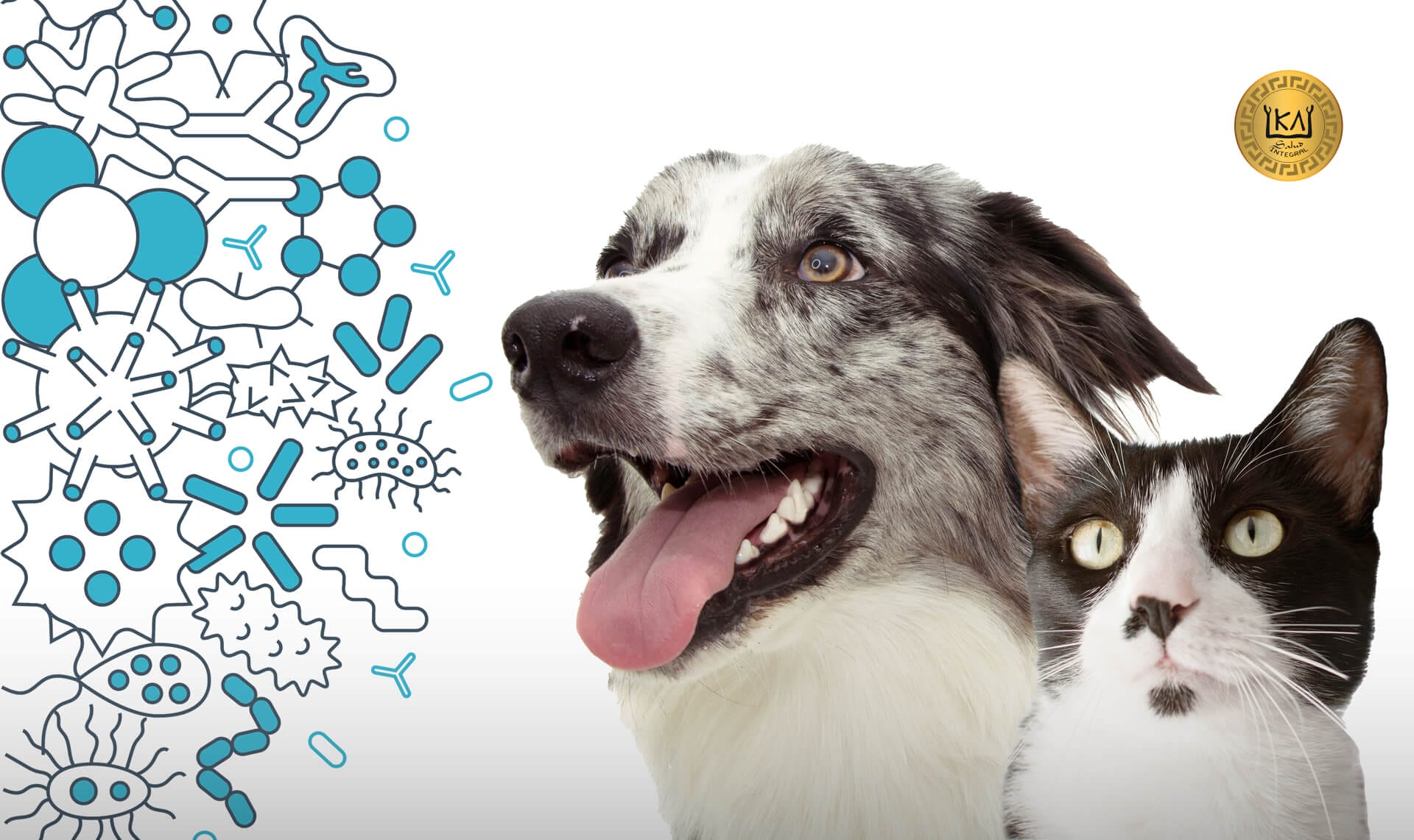 Prebioticos y probioticos en la alimentación de perros y gatos