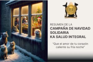 Resumen Campaña Solidaria de Navidad 2023 - Ka Salud Integral