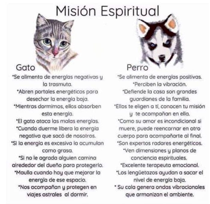 Visión espiritual de la interacción interespecies