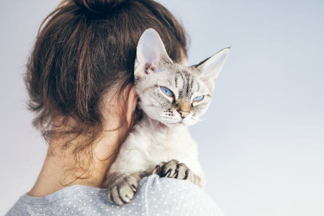 Las emociones en animales y humanos