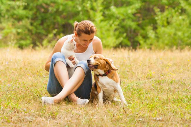 Las emociones entre humanos y animales