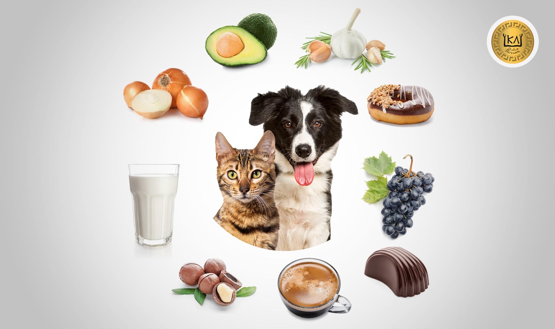 Alimentos prohibidos para perros y gatos
