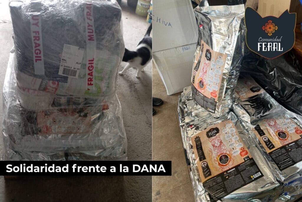 Acciones Sociales - Memoria Dana 2025