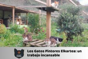 Acciones Sociales - Los GatosPintores Elkartea
