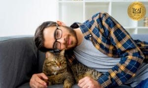 Hombres gato