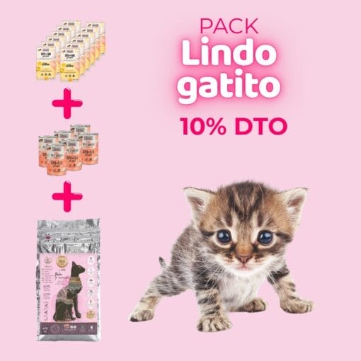 Pack Lindo Gatito