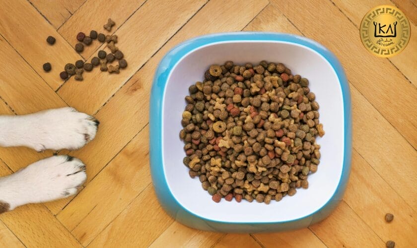 Recomendaciones para Ayuno intermitente en perros